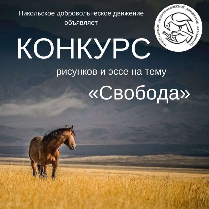 Никольское добровольческое движение объявляет конкурс рисунков и эссе «Свобода»