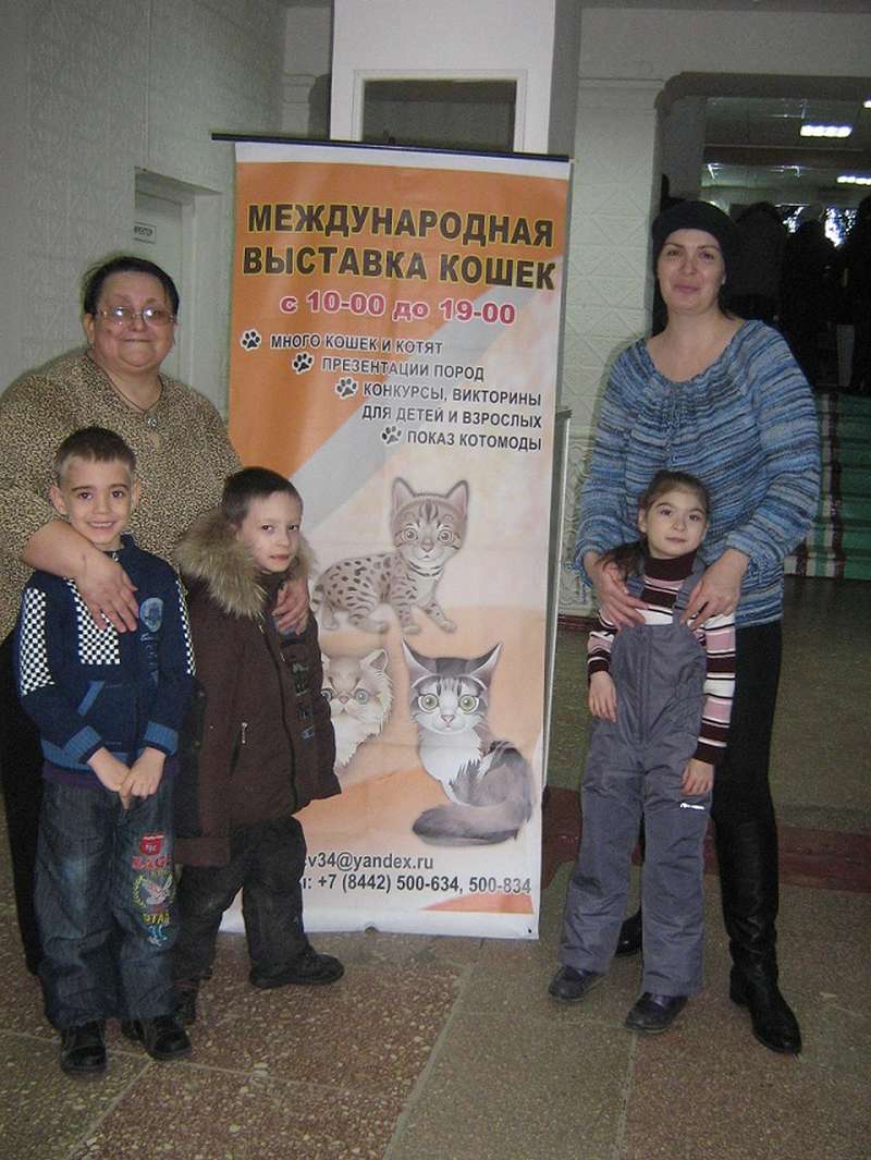 Дети с ограниченными возможностями здоровья посетили выставку кошек
